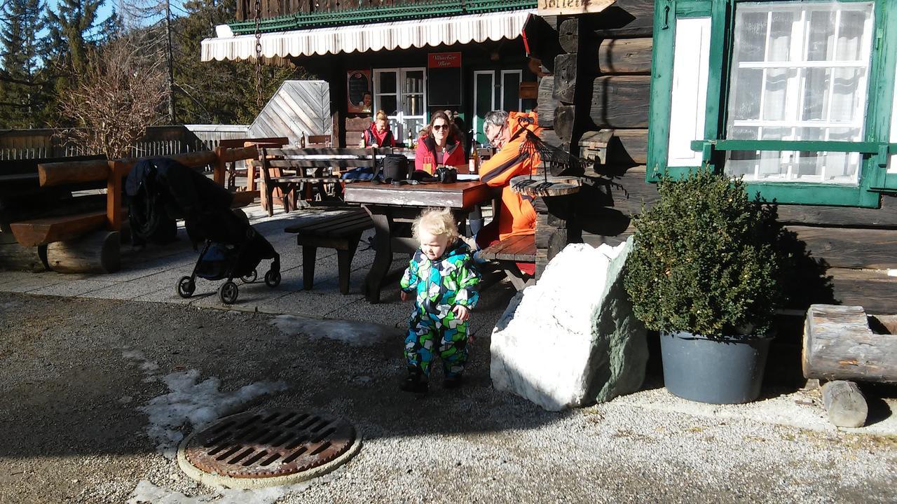 Ferienwohnung Im Haus Edelweiss Treffen Dış mekan fotoğraf